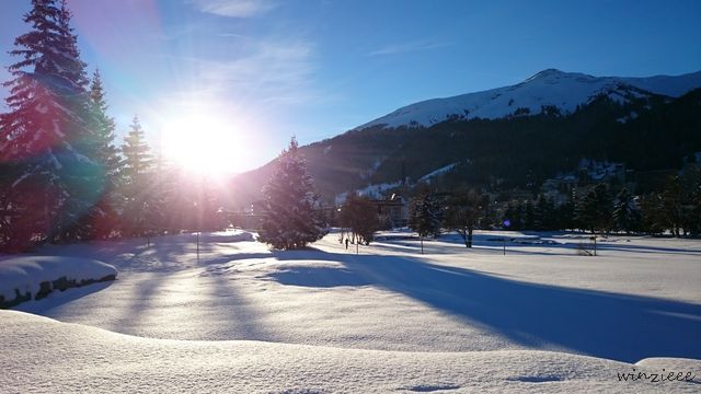 Davos 1